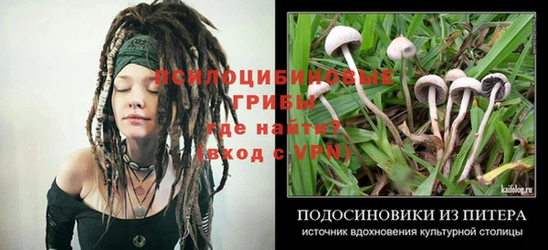 каннабис Алексеевка