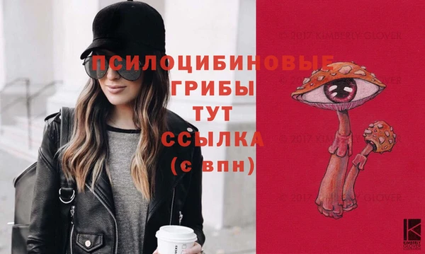 бутик Няндома