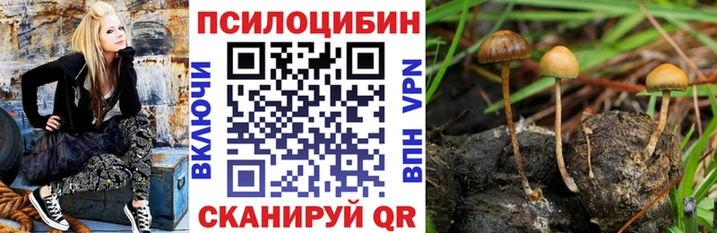 Галлюциногенные грибы прущие грибы  магазин  наркотиков  Полысаево 