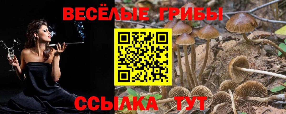 ТГК  ГАШИШ  Cocaine  Вход с VPN  Бошки Шишки  ГЕРОИН  Полысаево  А ПВП СК   МЕФ  