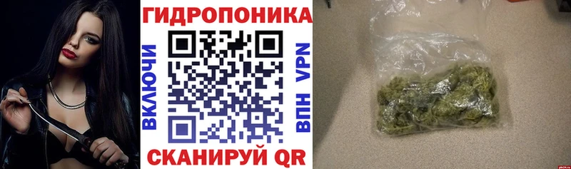 Конопля Amnesia  Полысаево 